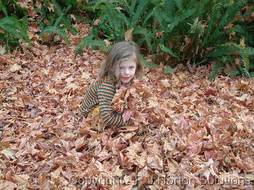 Autumn leaves Ella 